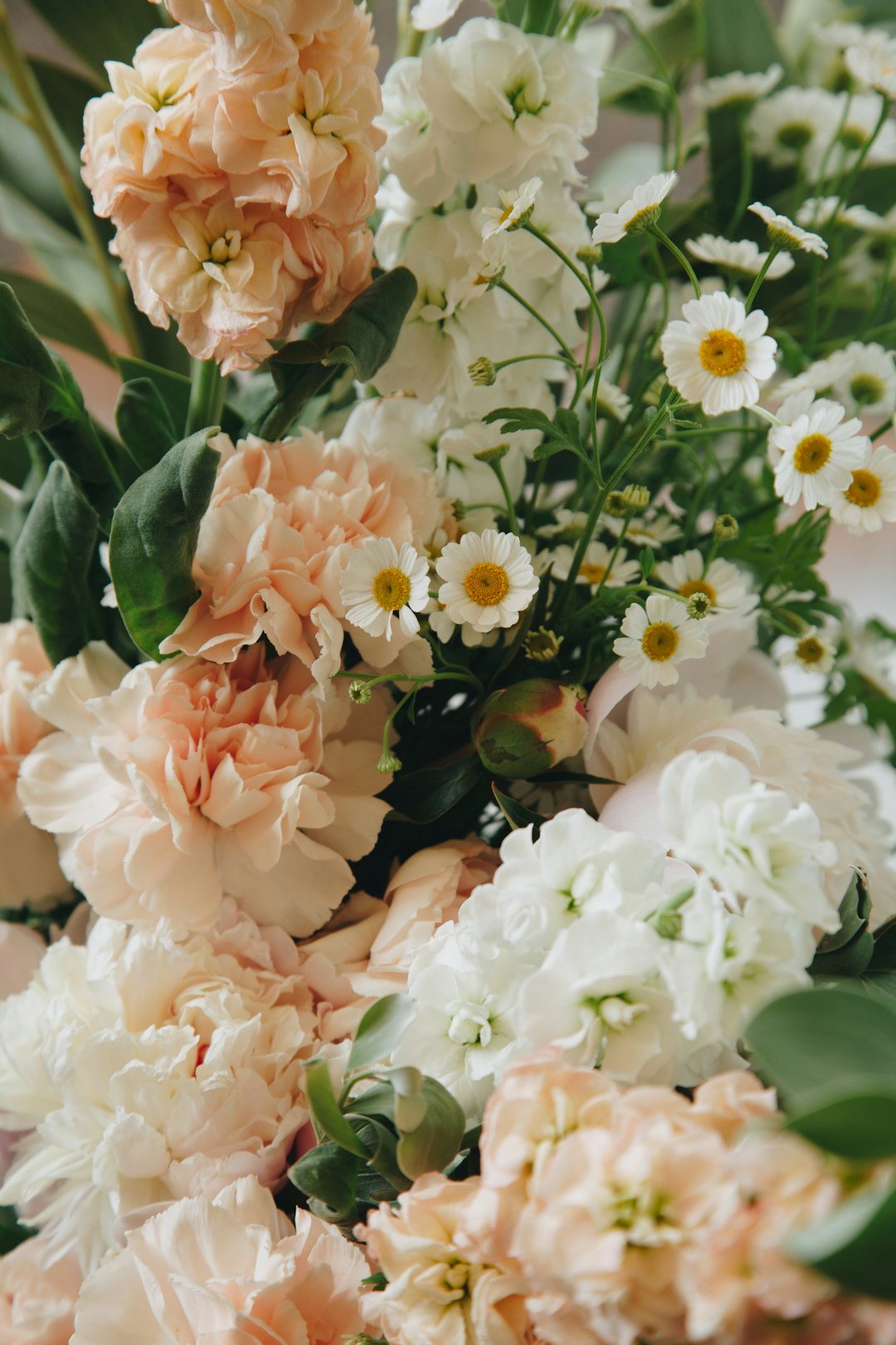 Saisonale Blumen