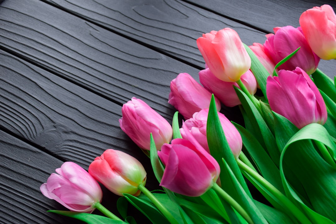 Blumenpflege Tipps